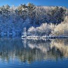 Frozen Daybreak