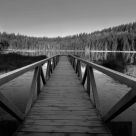Early Reflection