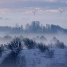 Ghostly windmills