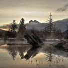 Sunrise at the Beaver Pond