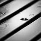 Rain  Bubble