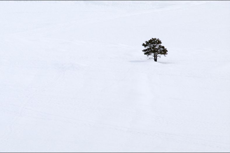 Minimalist landscape