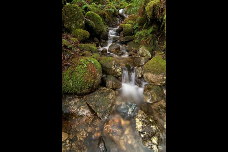 Spring Run Off