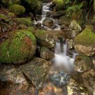 Spring Run Off