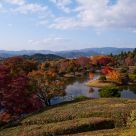 Autumn Garden