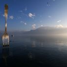 Fork in the Lake