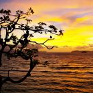 Dawn Awakening