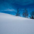 White & Blue landscape