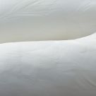 Feathers