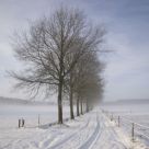 Snow world
