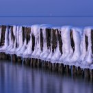 Iced Groins