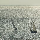 Sailing in eveninglight