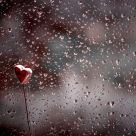 Broken Heart