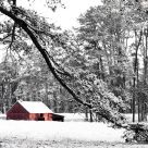 The Red Barn