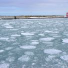 Floating ice