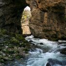 Rapids