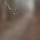 Thin Air