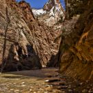 Zion Park (The Narrows)