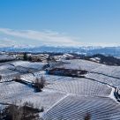 Piedmont = wine