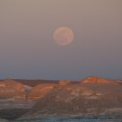Desert Moon