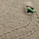 Traces in the sand...