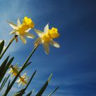 Springtime