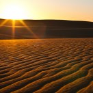 Golden Sea