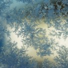 Ice crystals