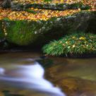 Stream in Autumn