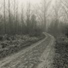 Stillness
