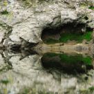 Pool Reflection
