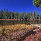 Little Lake Paradise