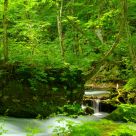 Oirase Stream