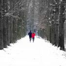 Running