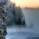 Cold