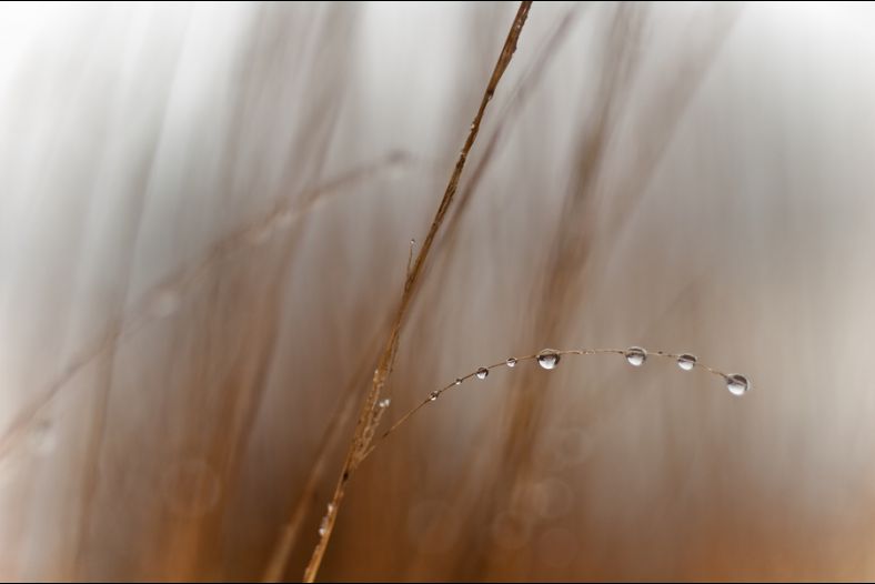 Frozen In Time