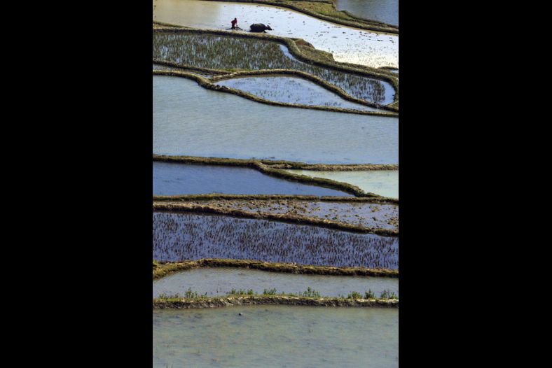 Plow in Spring