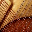 Strings