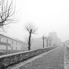 Another misty day