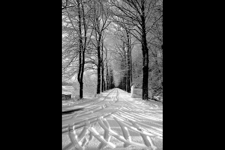 Snow patrol
