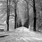 Snow patrol