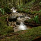 Falling Stream