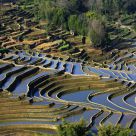 Terraces