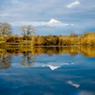 Ridgefield Reflections