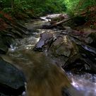 The brook in Karpaty