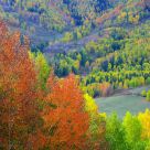 Colourful Season