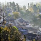 Misty in the morning