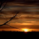 Winter Sunrise in the North