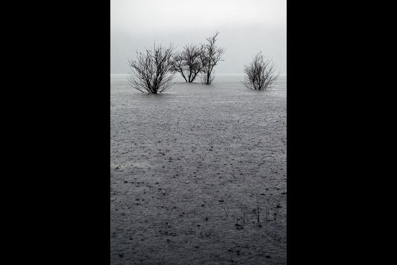 Drowning in the rain