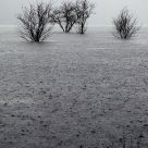 Drowning in the rain